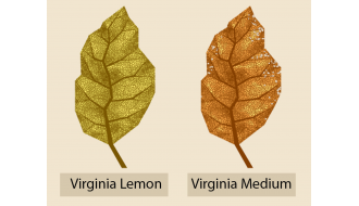 Tabaco Golden Virginia: diferencias entre Lemon y Medium